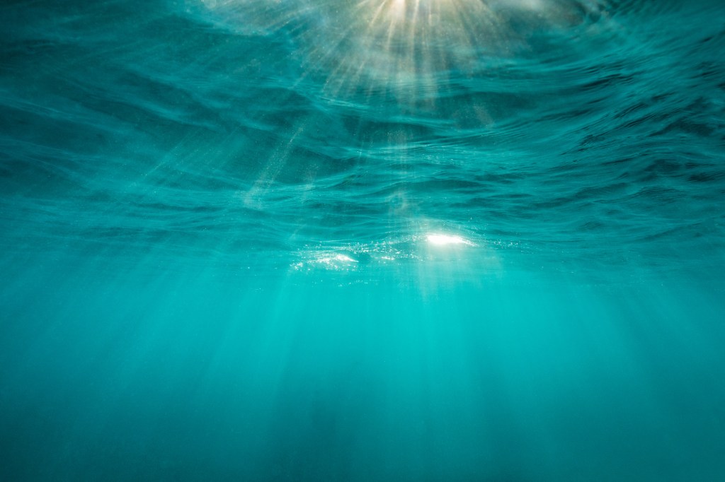Trump’s Administration: A Potential Catalyst for Underwater Mining of Vital Minerals