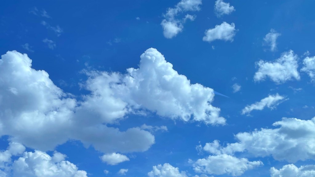 Bluesky Rolls Out Tailored Vertical Video Feed